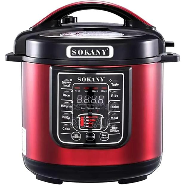 6 Litres Electric Ailyons Pressure Cooker