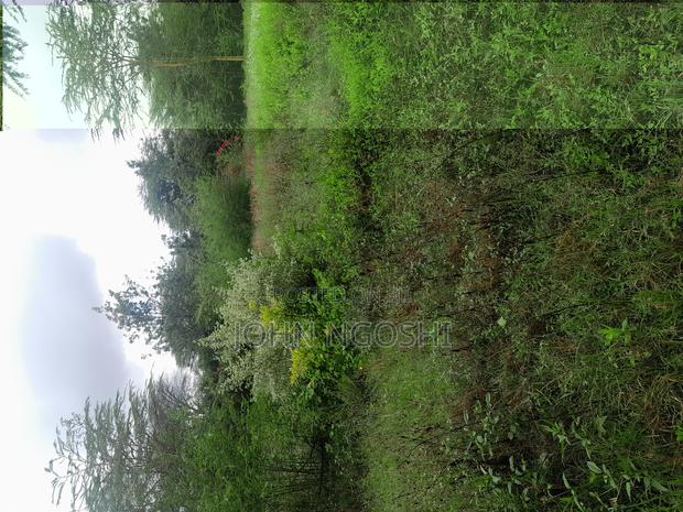 Rongai Nazarene Prime Property - thumbnail 4