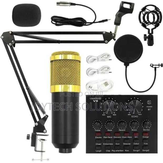 Professional Condenser Microphone With Sound Card Recorder