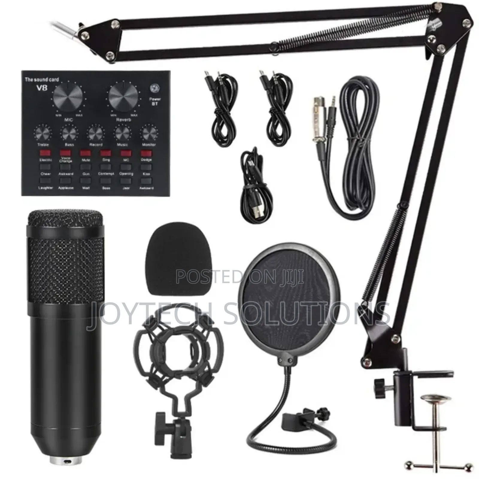 Professional Condenser Microphone With Sound Card Recorder