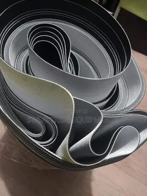 Treadmill Belt