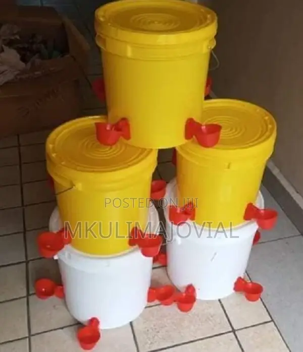 Bucket Automatic Drinkers Available