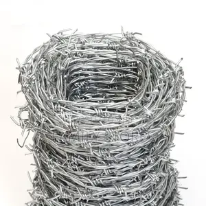 Barbed Wire