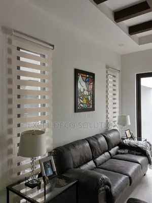 Modern Living Zebra Roller Window Blinds