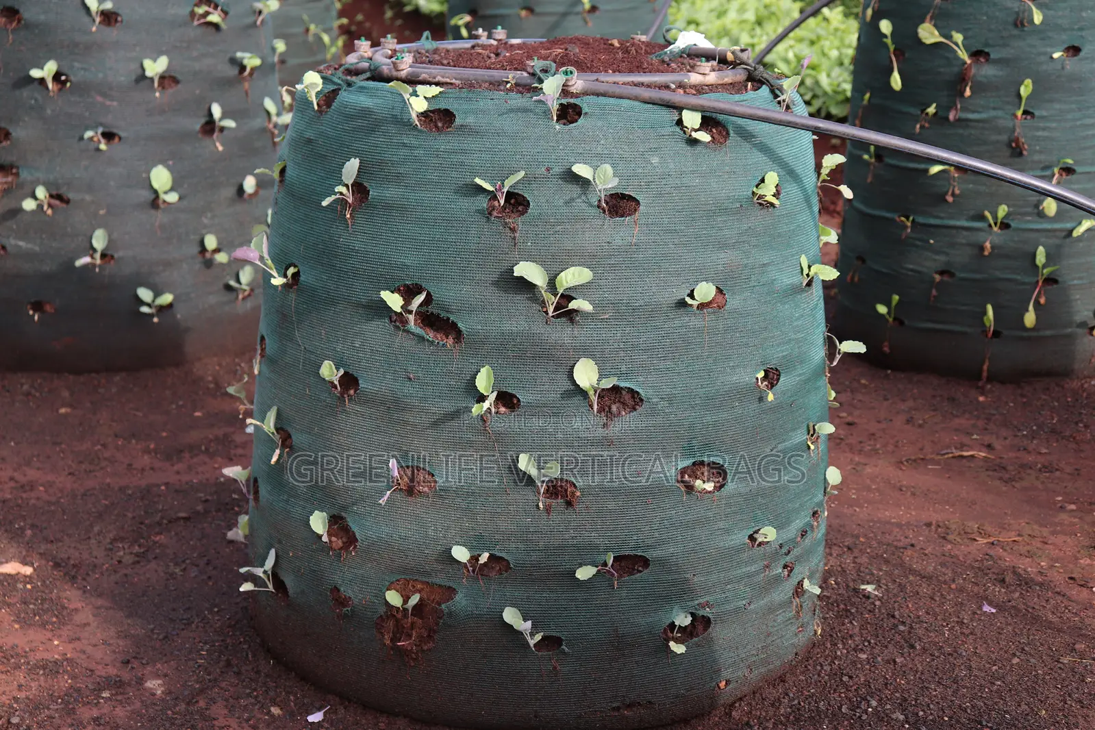 Medium Kitchen Garden Bag (Medium Vertical Bag)