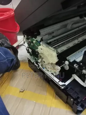 Epsons Printers Techncian Very Affordable.