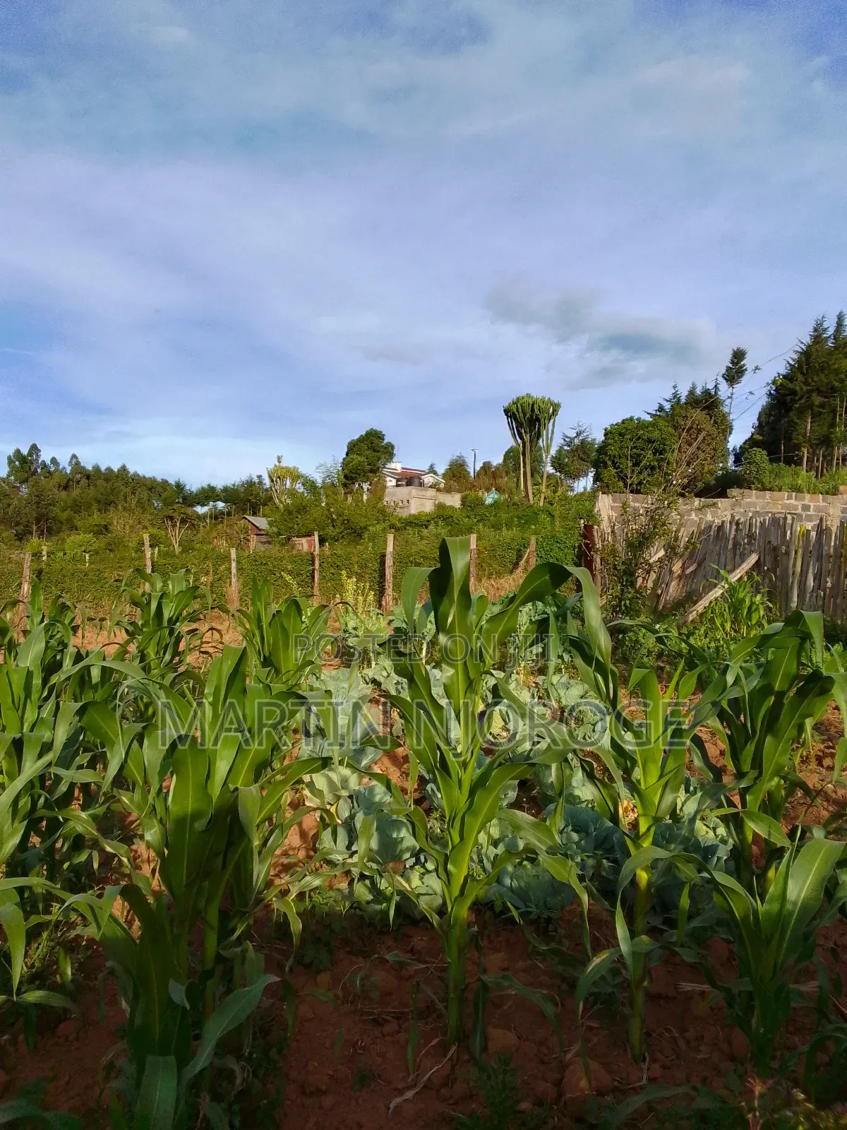 1⁄2 Acre Murengeti