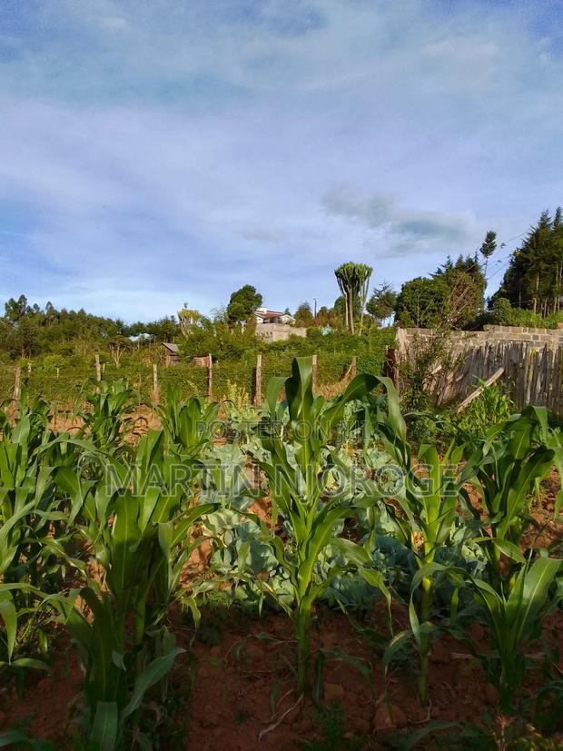 1⁄2 Acre Murengeti - thumbnail 3