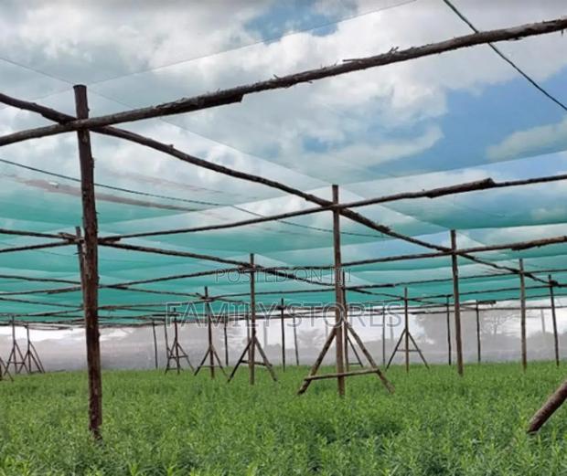 Shed Net . Green Color - thumbnail 2