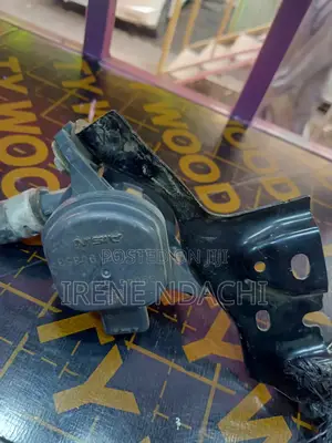 Mass Flow Hybrid Water Pump