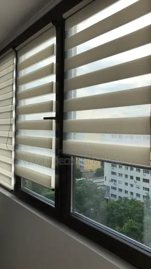 Smart and Chic Zebra Roller Blinds