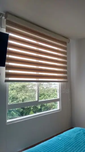 Comfortable Window Covering- Zebra Blinds
