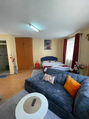 Studio and One Bedroom Airbnb TRM Drive Roysambu Thika Road.
