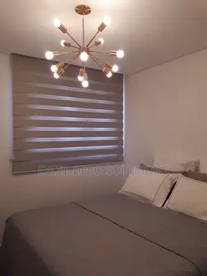 Simple Stylish Zebra Roller Blinds