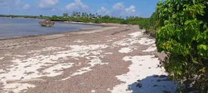 Beach Plot +Beachfront Land - For Sale
