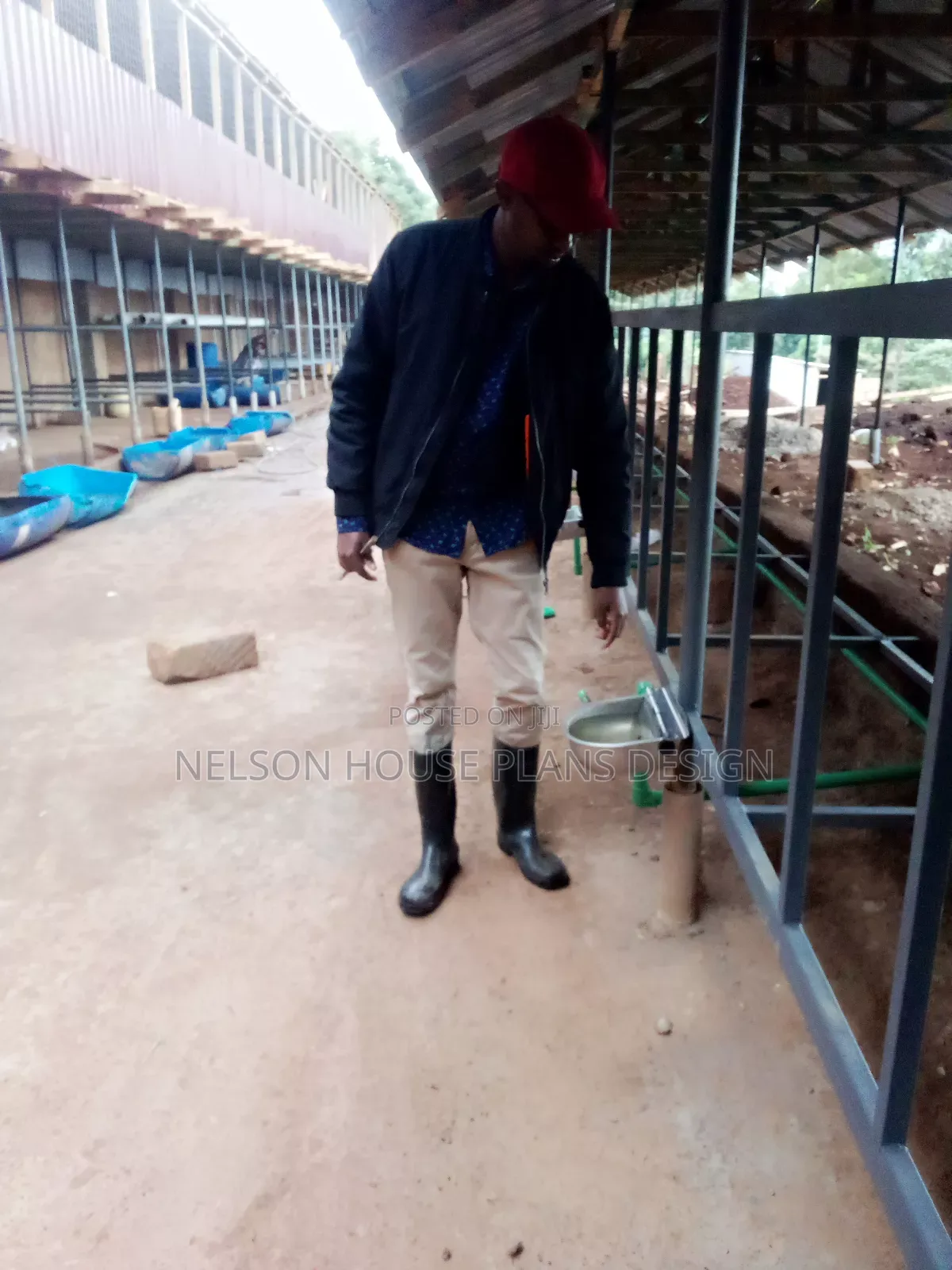 Modern Zero Grazing Units Design Plans Kenya