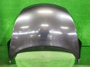 Bonnet Nissan Juke 2010