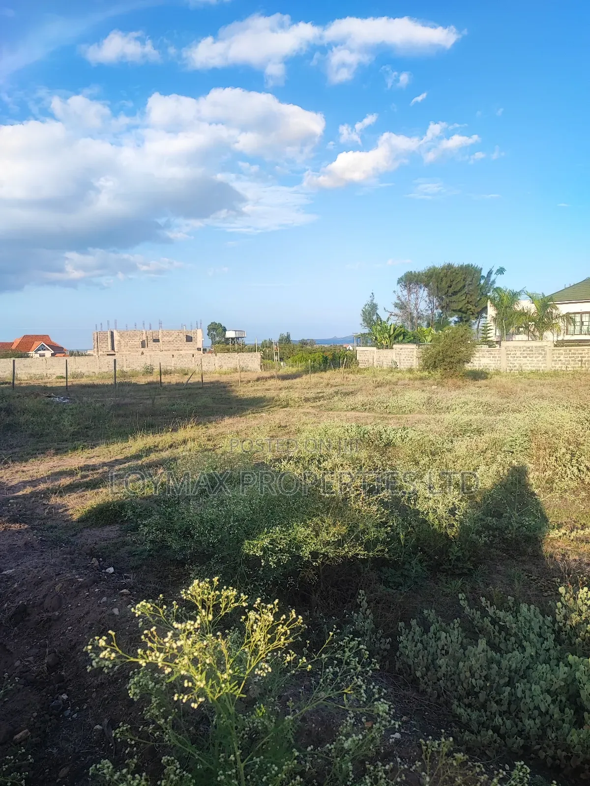 100/100 Plot on Sale in Kitengela Chuna Estate 11th Campus