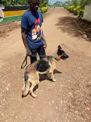 Application for Kid Minder ,Home Minder,Animal Handler