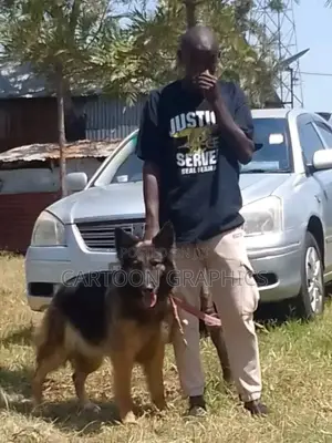 Application for Kid Minder ,Home Minder,Animal Handler