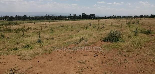 Prime 60-Acre Parcel of Land in Njoro, Nakuru