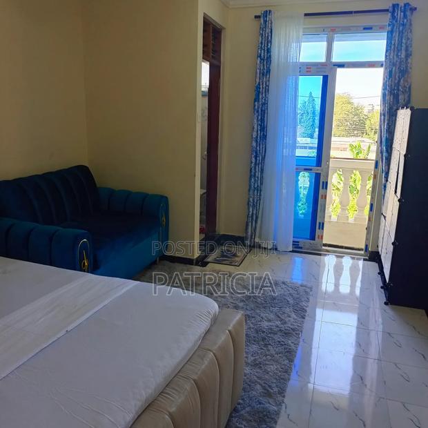 Short and Long Stays Studio Apartment - thumbnail 8