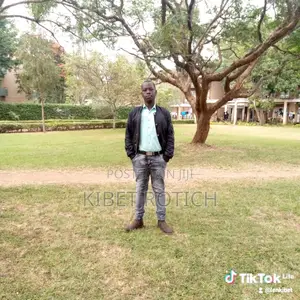 Customer Service Agent