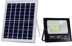 60W Solar Floodlight 7gf