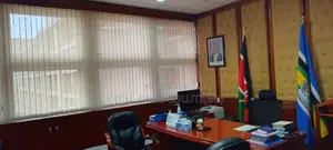 Adaptable Professional Office Vertical Blinds