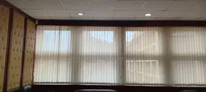 Seamless and Stylish Vertical Blinds