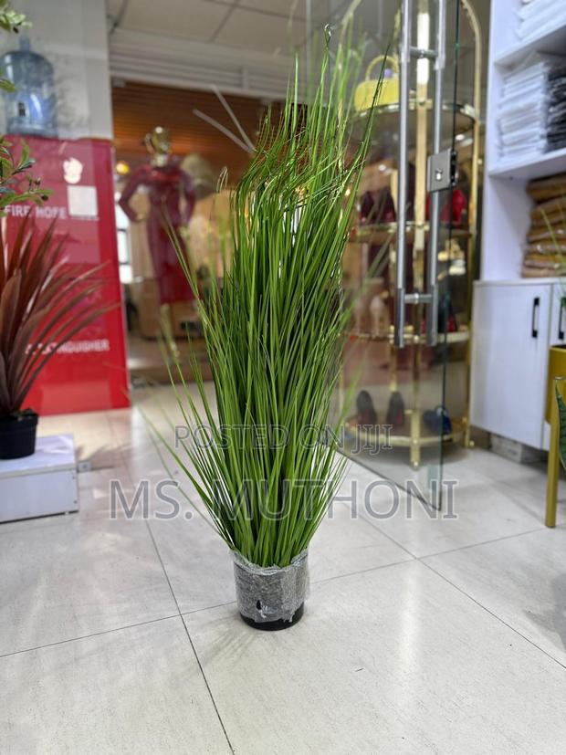 Natural Looking Green Grass