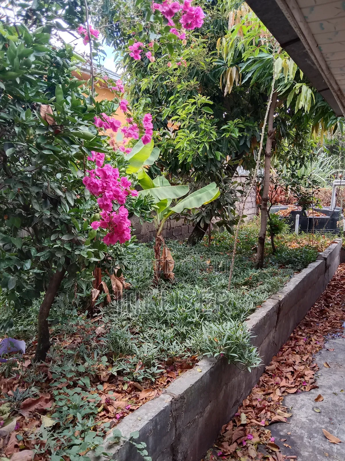 3bdrm House in Zawadi Drive, Syokimau for sale