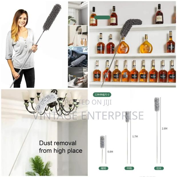 Telescopic Cobweb Remover