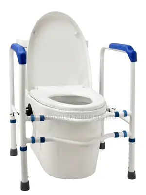 Toilet Armrest
