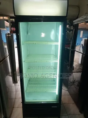 Commercial Shop Display 650l