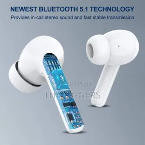 Quality Bs9 TWS Wireless Type C Wireless Bluetooth Earbuds