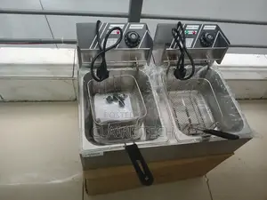 Flyer 6L Double Deep Fryer Potato Chip Fryer