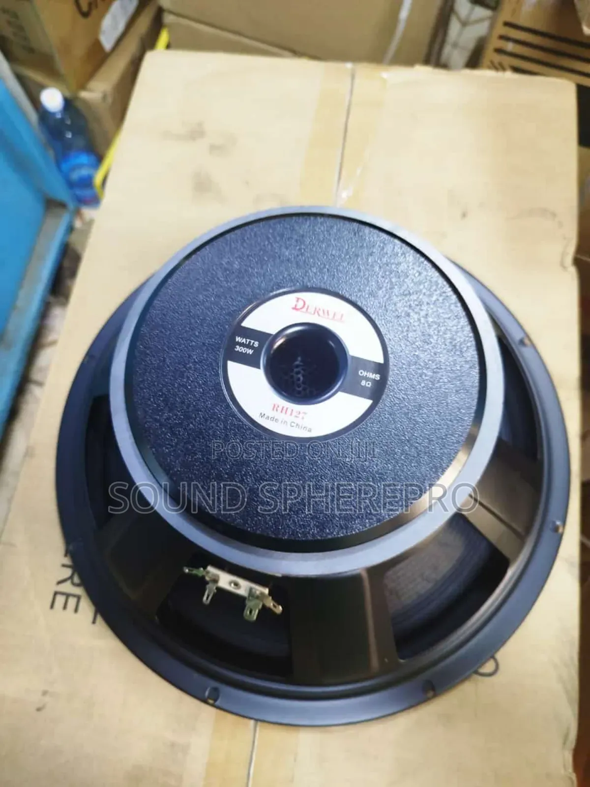 Derwel RH-27 12 Inch Naked Speaker
