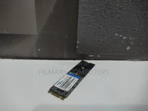 Lenovo Thinkpad X250 T450 Golden Memory 256gb M.2 Ssd[2242]