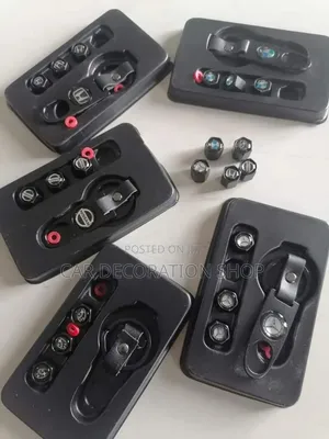 Car Black Logged Tire Valves in Different Models