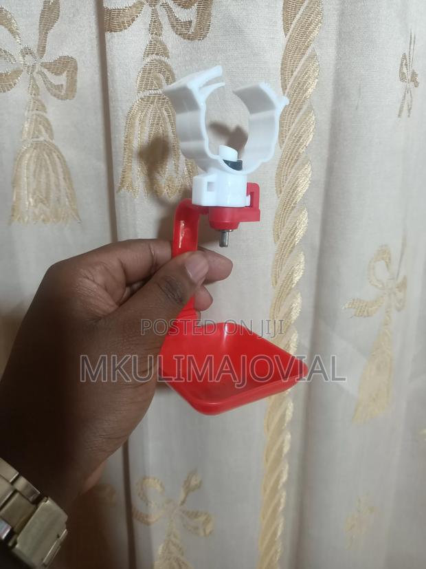 Red And White Chicken Nipple Drinker