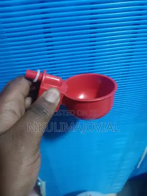 Automatic Bucket Chicken Drinkers