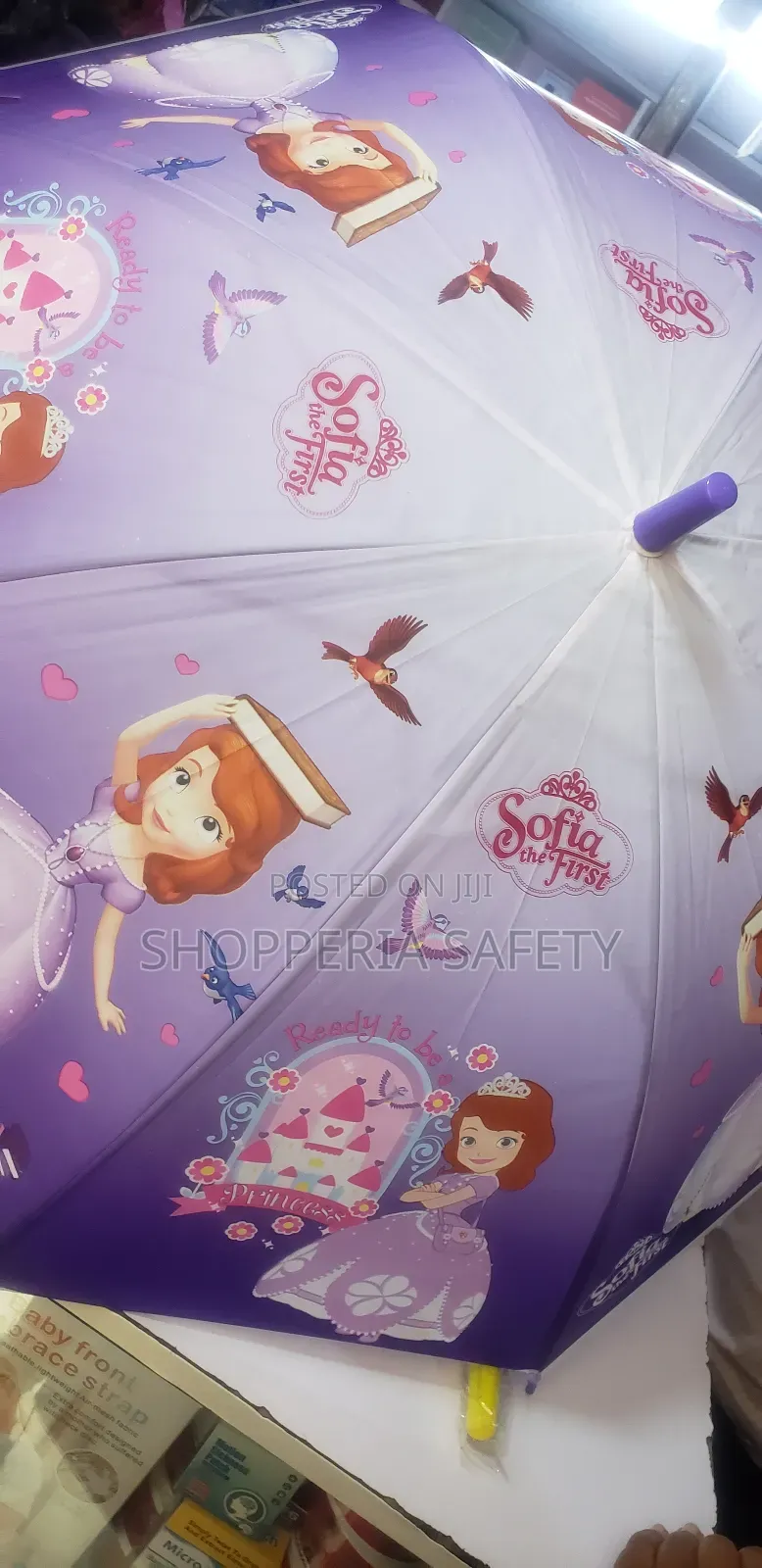 Sophia Themed Umbrellas