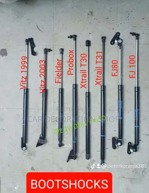 Different Car Models Boot Shocks Different Prices
