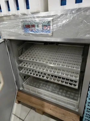 Automatic Egg Incubator 528eggs / Imported Egg Incubator