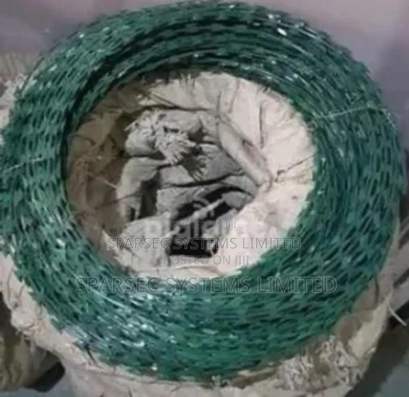 450mm Green Double Galvanized Razor Wire