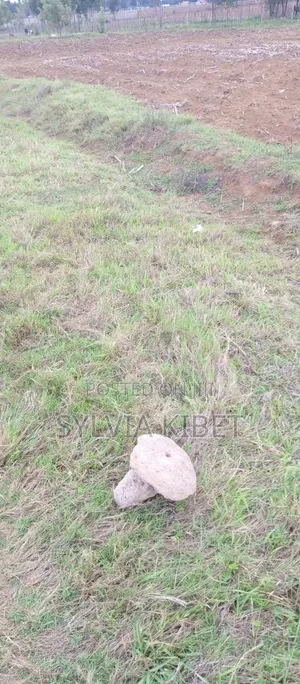 Plots for Sale in Sogomo, Eldoret