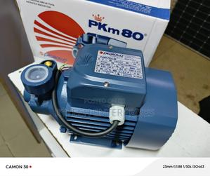 1 Hp Italy Pedroll Water Pump