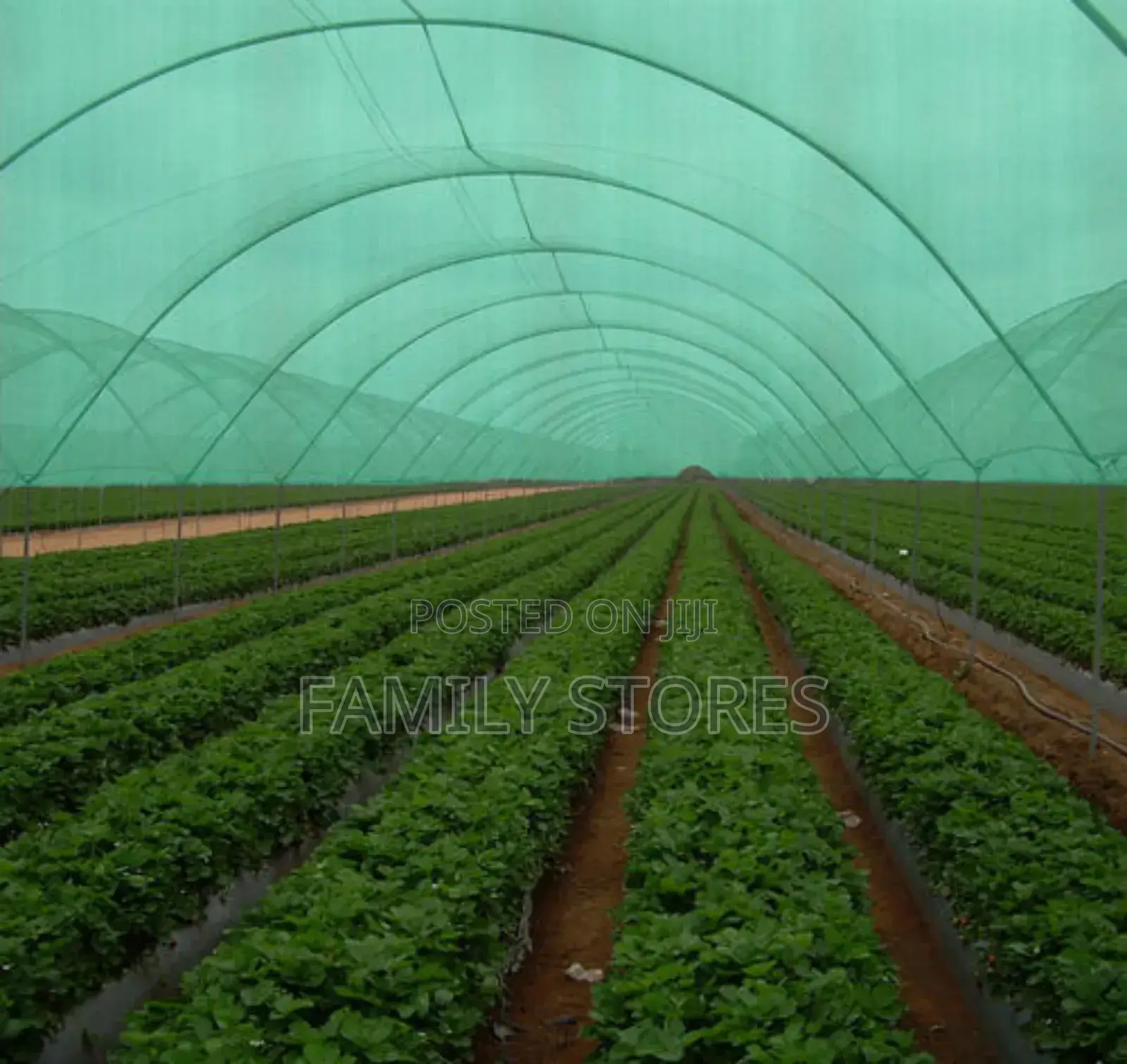 Shade Nets