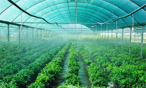 Shade Nets Available